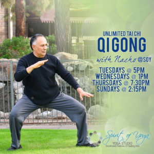 Tai Chi QI GONG